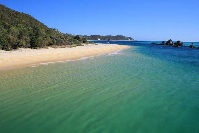 Day Cruise to Tangalooma Island Resort on Moreton Island - Good To Know