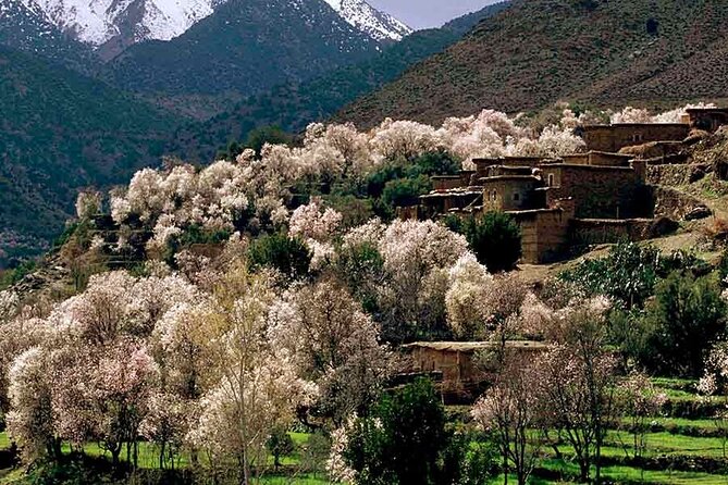Day Excursion to Atlas Mountains From Marrakech - Good To Know