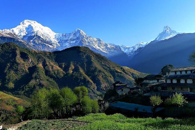 Day Hike in Pokhara - Meeting and Pickup Details