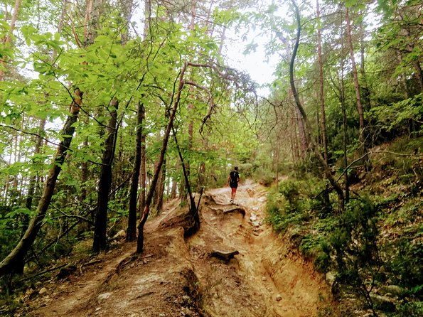 Day Hike in the Mountains of Sanremo