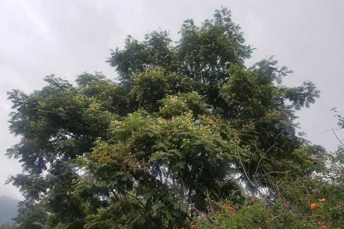 Day Hike to Kunchepwakal Village - Essential Gear for Your Day Hike