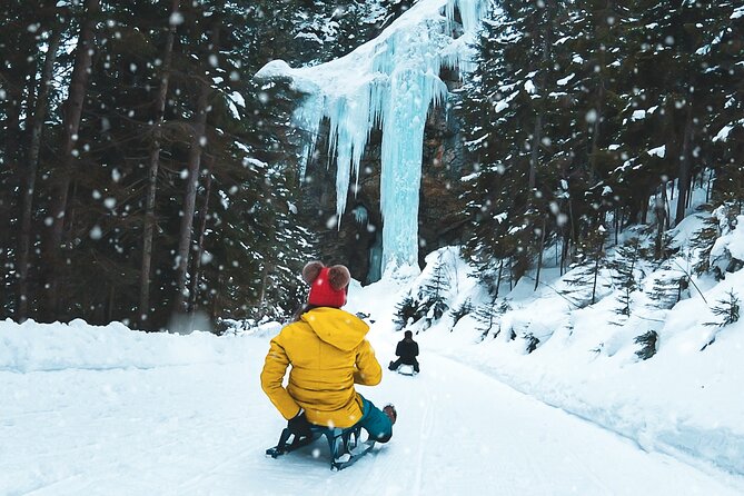 Day Sledding in Interlaken