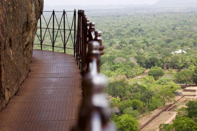 Day Tour From Colombo to Sigiriya, Pidurangala Rock & National Park Safari