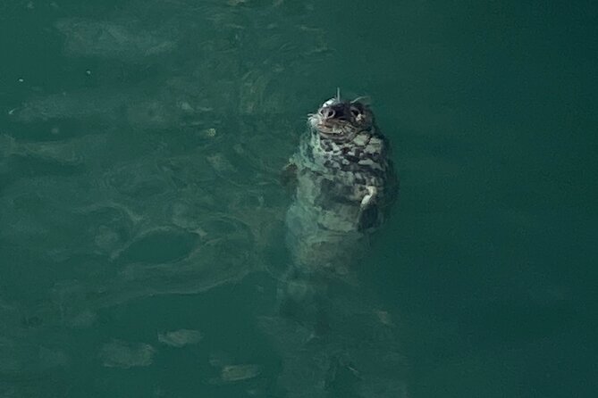 Day Tour From Dublin to Wicklow: Cliffs, Heritage, Wildlife, Gaol - Scenic Drive Through Wicklows Cliffs and Wildlife