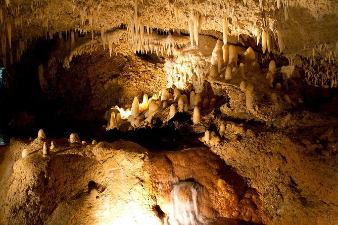 Day Tour Including Harrisons Cave St. Nicholas Lunch and Monkeys - Tour Highlights