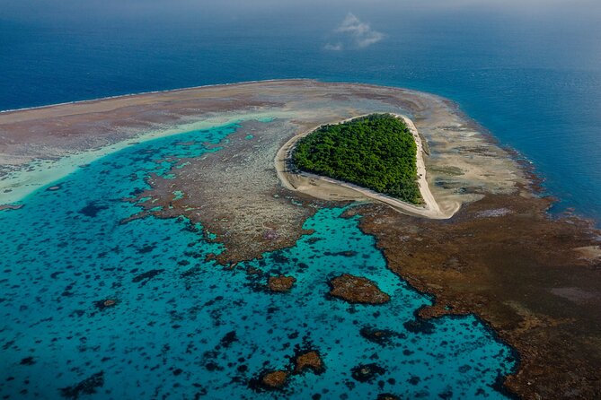 Day Tour to Lady Musgrave Island - Good To Know