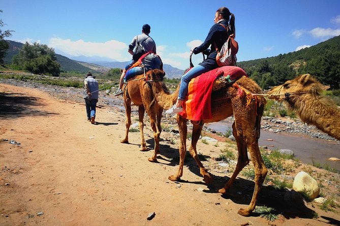 Day Trip to Atlas Mountains Waterfall & Agafay Camel Ride Experience - Good To Know