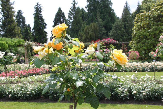 Day Trip to the Island of Mainau With Highlights on Lake Constance From / to Oberstaufen - Good To Know