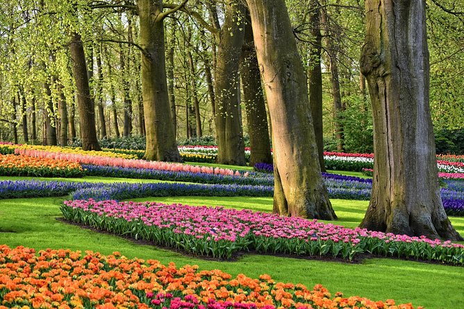 Day Trip To Tulip Gardens Of Keukenhof From Amsterdam: Private & Personalized - Overview of Keukenhof Gardens