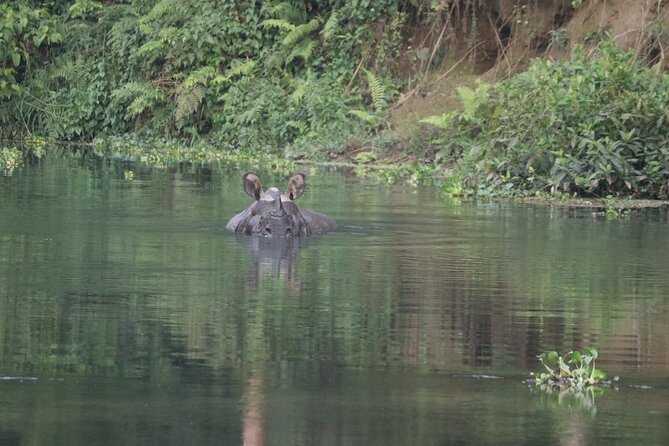 Day Walk(8-10h.) Inside Chitwan National Park.