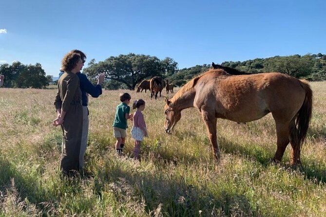 Dehesa La Cepera. - Good To Know