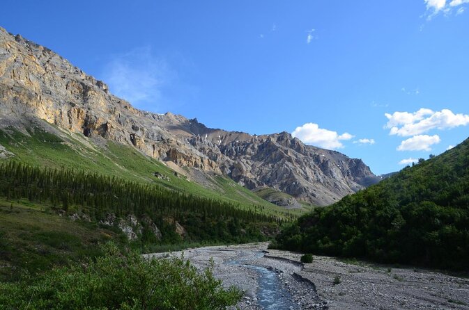 Denali Highway Jeep Excursion