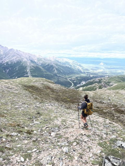Denali Range: 8-Hour Guided Hiking Tour in Denali