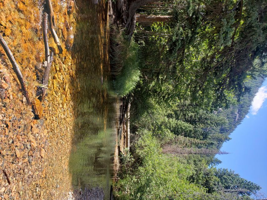 Denver: Rocky Mountain National Park Tour With Picnic Lunch - Good To Know