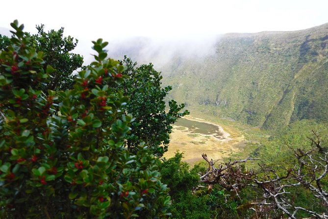 Descent to Caldeira Do Faial – the Perfect Adventure