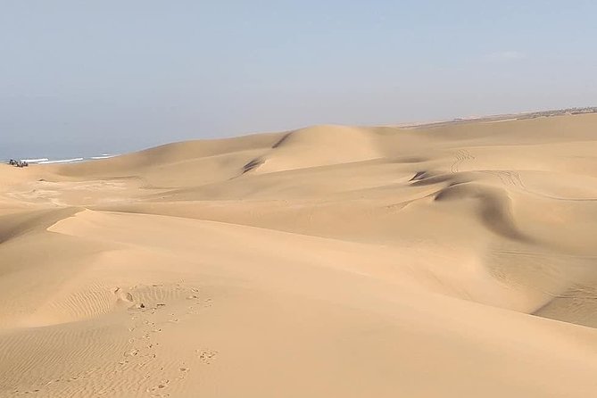 Desert and Wild Beach Day Trip With Meal - Pricing and Guarantee