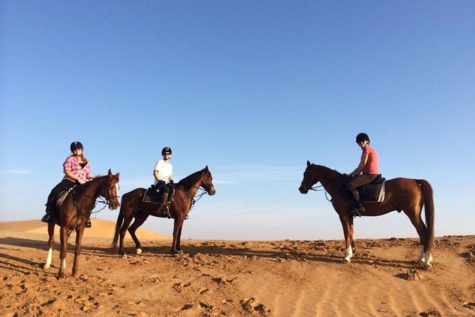 Desert Horse Riding In Dubai - Good To Know