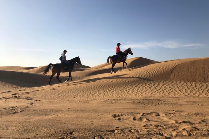 Desert Ride