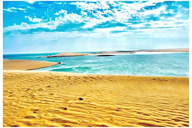 Desert Safari, Camel Ride, Sand Boarding, Inland Sea Visit COMBO