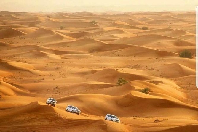 Desert Safari Dubai With 30 Minutes Quad Bike (ATV) - Good To Know