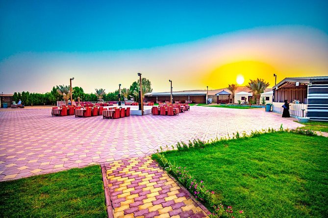 Desert Safari (Premium Luxury Vip) 5* Live BBQ Dinner Open Buffet Tables Chair - Good To Know