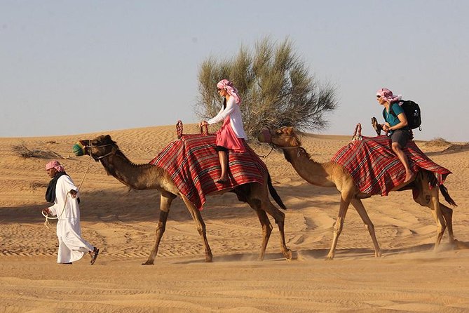 Desert Safari Tour, 6 Hour Fun, Family & Friends, Camel Ride & Dinner Included. - Good To Know