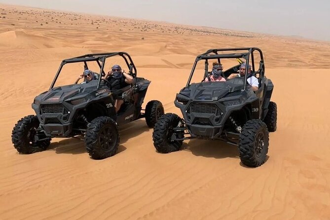 Desert Safari With 30 Minutes Dune Buggy on High Red Dunes in Dubai - Overview of Desert Safari Experience