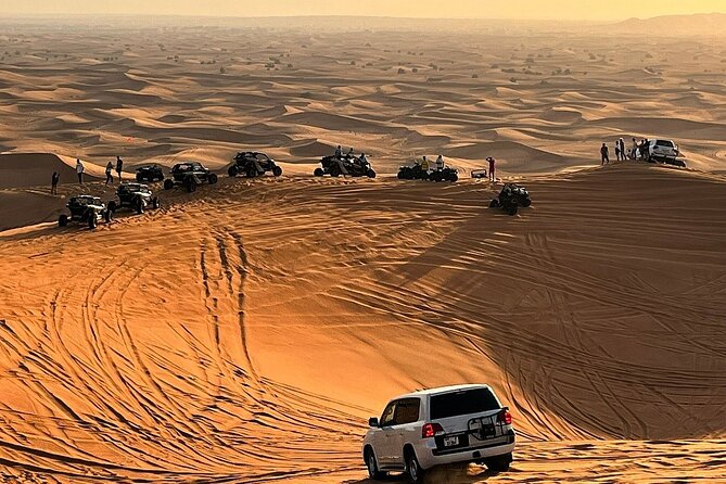 Desert Safari With Camel Ride, BBQ Dinner, Sand Board & Live Show - Good To Know