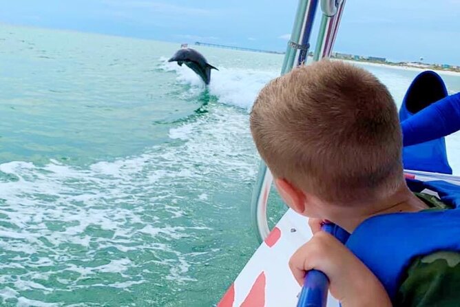 Destin Dolphin Watching Cruise in the Gulf of Mexico - Good To Know