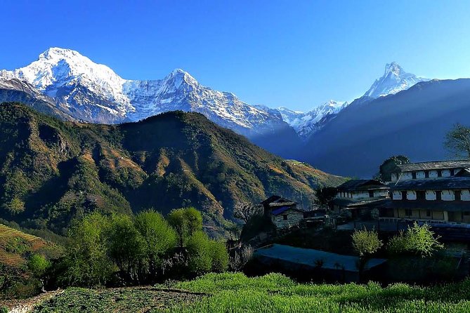 Dhampus Trek - Dhampus Trek Difficulty