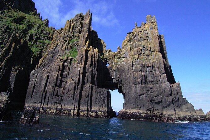 Dingle Boat Tours Wildlife RIB Adventure