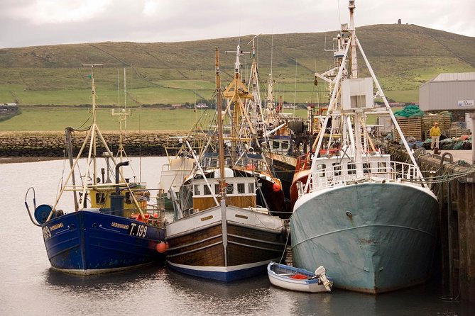 Dingle Peninsula Day Tour From Limerick: Including the Wild Altanic Way - Good To Know
