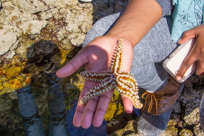 Discover Arrábida: The Secret Paradise - Natural Beauty of Arrábida