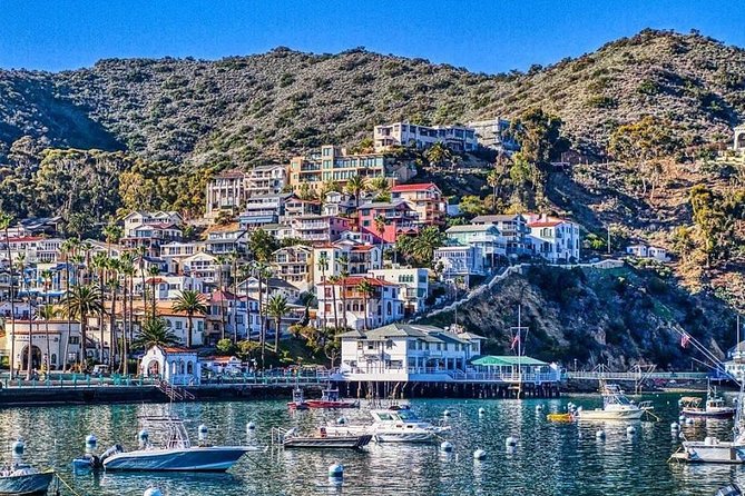 8 Best Tours In Catalina Island