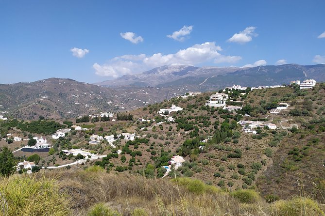 Discover Boutique Wineries and White Washed Villages With Andalucian Lunch - Charming White Washed Villages