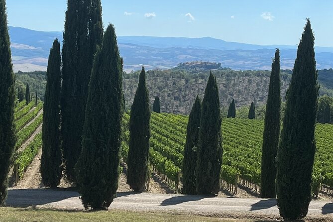 Discover Brunello Wines With Diwine Experience