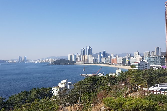 Discover Busan: A Full-Day Adventure