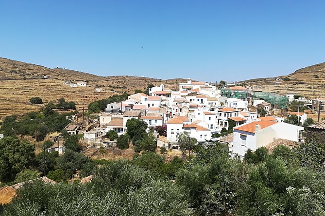 Discover Dryopida, Untouched by Time