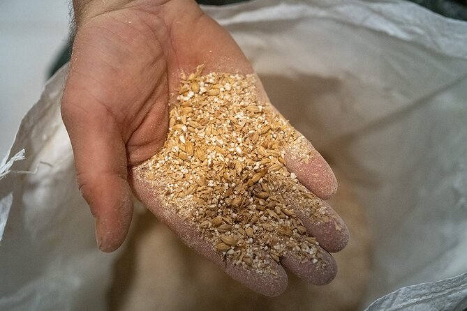 Discover How to Brew and Taste Craft Beers From Bunyola