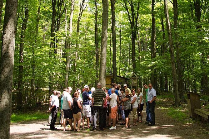 Discover Maple Sugar Bush Tour