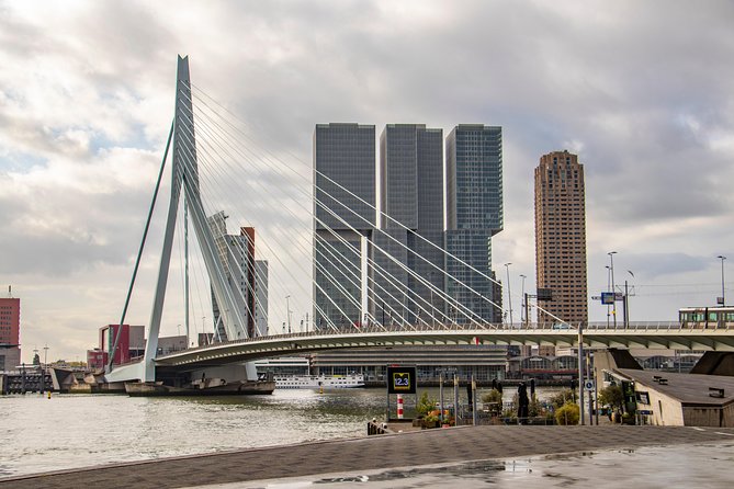 Discover Rotterdam’S Most Photogenic Spots With a Local