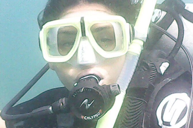 Discover Scuba Diving - Pricing and Booking