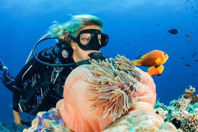 Discover Scuba Diving Adventure in Dubai - Good To Know