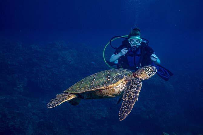 Discover Scuba Diving Class - Lahaina - Good To Know