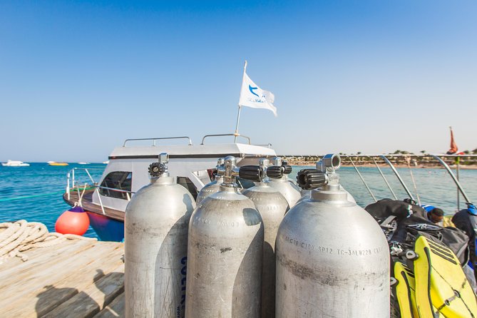 Discover Scuba Diving (Dsd Course) - Scuba World Divers - Benefits of Taking the DSD Course