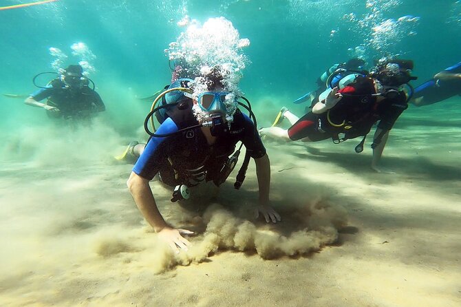 Discover Scuba Diving Experience in Nea Makri