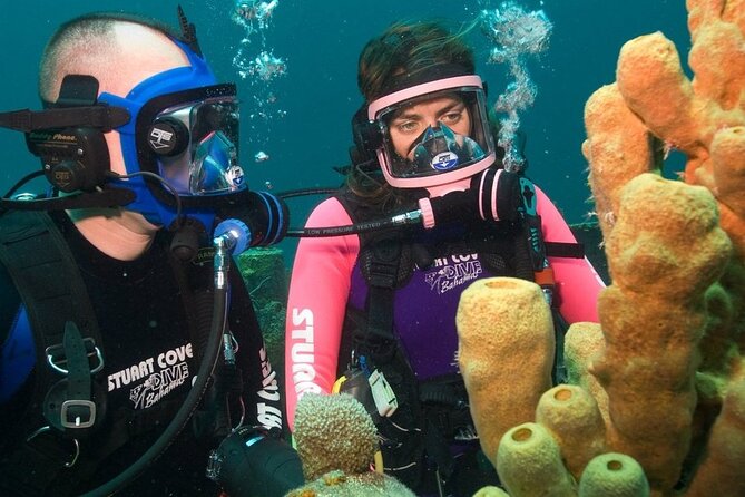 Discover Scuba Diving Full Mask