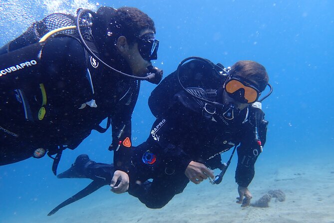 Discover Scuba Diving in Lanzarote (No Experience Needed) - Good To Know
