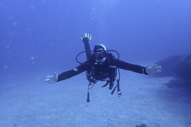 Discover Scuba Diving, Tenerife. Photos and Videos Included - Why Choose Scuba Diving in Tenerife?