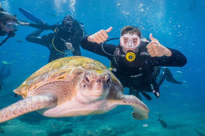 Discover Scuba Diving: Training Plus Boat Dive!